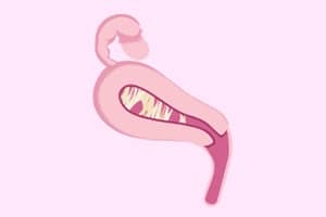 Asherman Syndrome